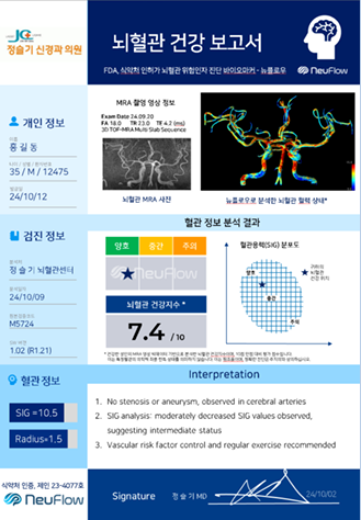 뇌혈관 건강 보고서